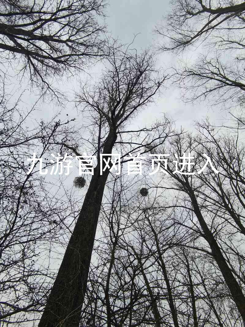 九游官网首页进入